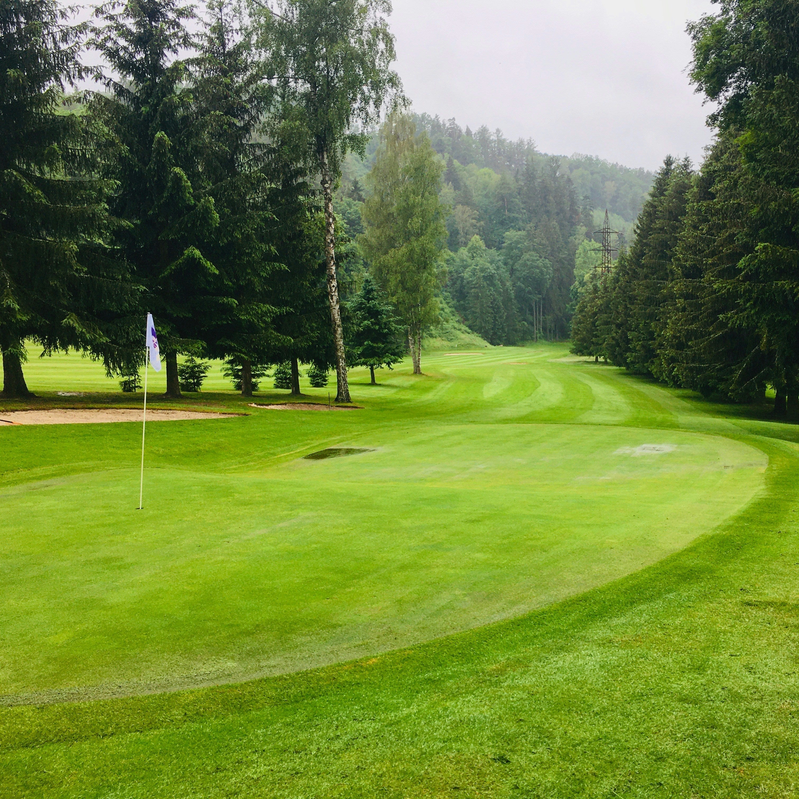 Golf: The Most Expensive Way to Hate Yourself